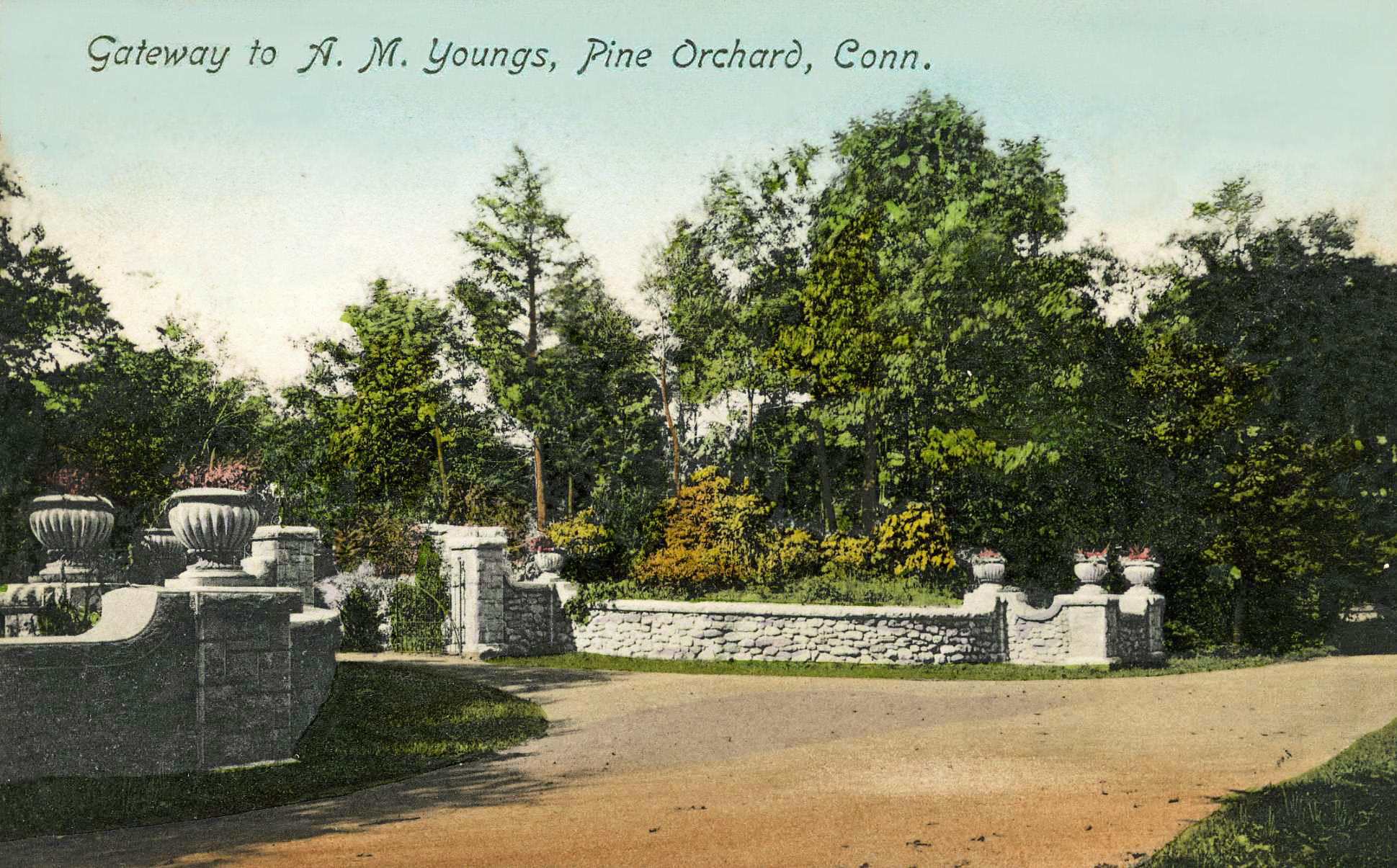 Gateway to Youngs Pond Postcard